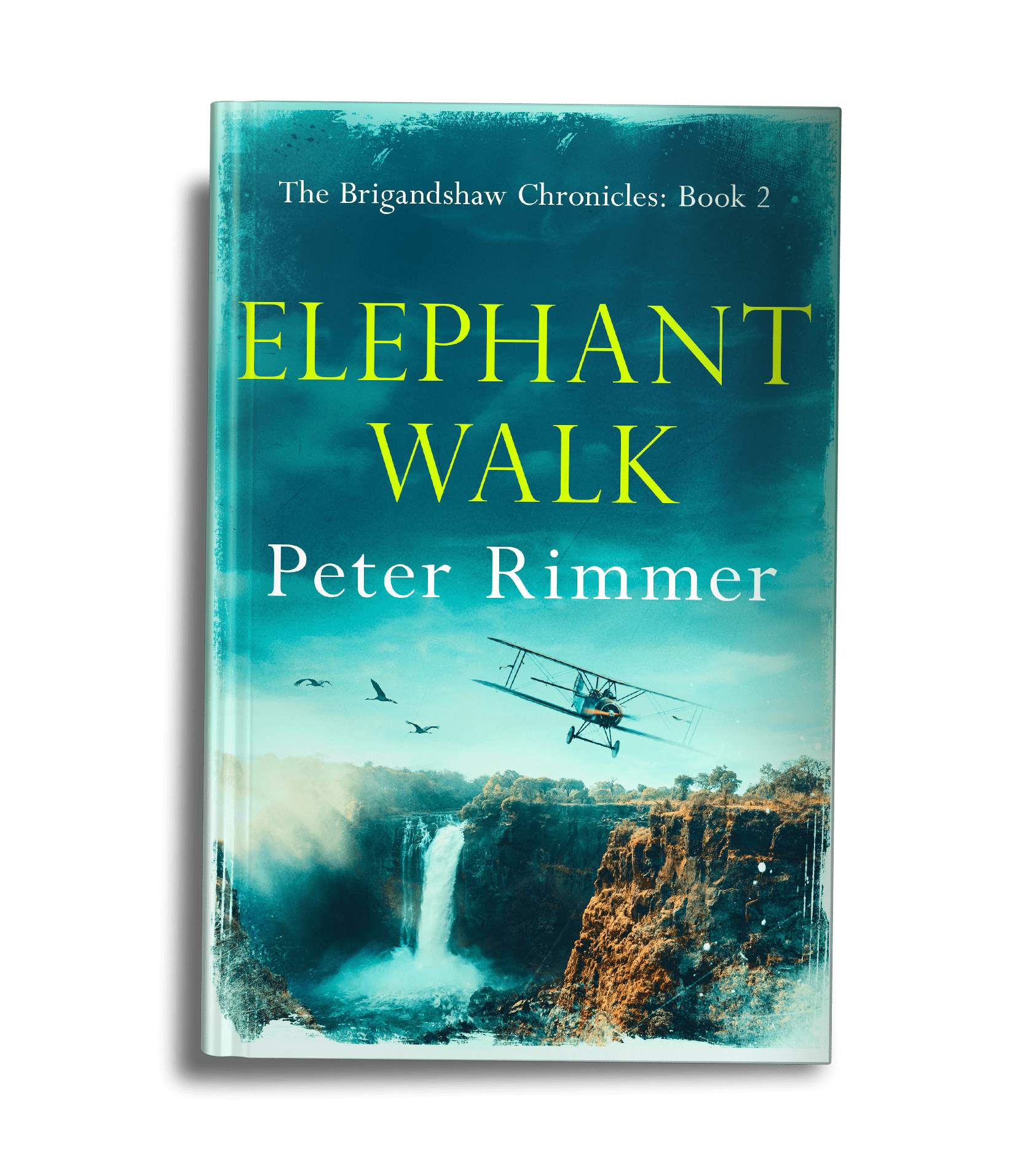 Elephant Walk – Peter Rimmer